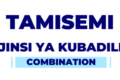 Kubadilisha Combination Tamisemi Selform system 2025/2026 MIS