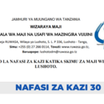 Ajira: 30 New Job Vacancies at RUWASA | Nafasi za kazi Ruwasa (CBWSOs), Latest