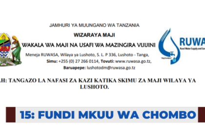 Ajira: Fundi Mkuu wa Chombo – Nafasi 15 at Ruwasa | Nafasi za kazi RUWASA (CBWSOs),
