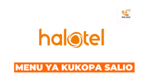 HALOTEL Menu Ya Kukopa Salio *149*63# Mpya Hatua kwa Hatua