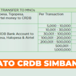 Makato ya CRDB Sim Banking Tsh 100 - SimBanking Charges Mobile ATM