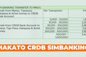 Makato ya CRDB Sim Banking Tsh 100 - SimBanking Charges Mobile ATM