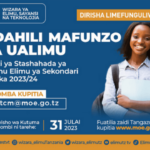 NEW: Nafasi za Mafunzo ya Ualimu Sekondary Teaching Opportunities 2023/2024 Latest