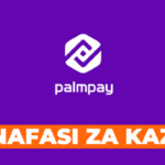 Sales Manager, Merchant Acquiring Job at Palmpay | Nafasi za kazi Palmpay Tanzania