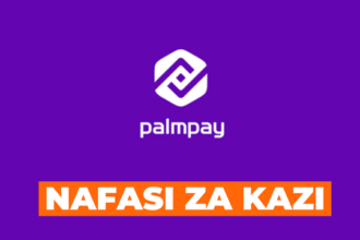 Sales Manager, Merchant Acquiring Job at Palmpay | Nafasi za kazi Palmpay Tanzania