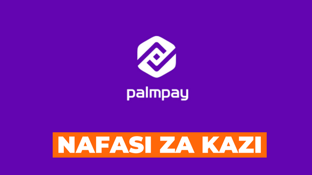 Sales Manager, Merchant Acquiring Job at Palmpay | Nafasi za kazi Palmpay Tanzania