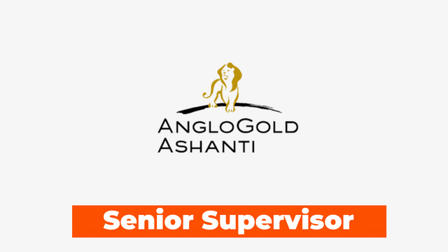 Senior Supervisor – Materials Engineering job at Geita Gold Mining Ltd