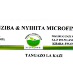 40 Jobs Opportunities at Zanziba & Nyihita Microfinance Ltd Latest