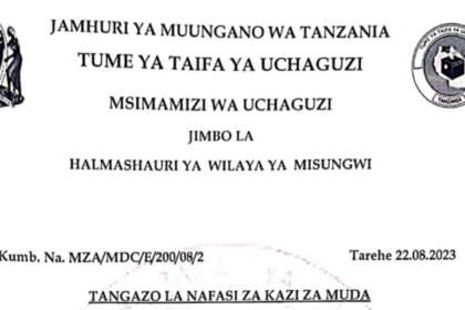 42 Various Jobs at Misungwi District Nafasi za watendaji wa vituo vya kupigia kura