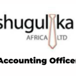 Accounting Officer Jobs at Shugulika Africa Latest