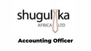 Accounting Officer Jobs at Shugulika Africa Latest