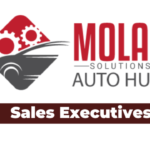 Ajira: 2 Sales Executives Jobs at Molas Solutions Tanzania Limited Latest