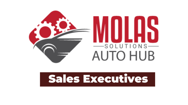 Ajira: 2 Sales Executives Jobs at Molas Solutions Tanzania Limited Latest