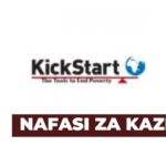 Ajira: Country Partnerships Manager Jobs at KickStart Latest