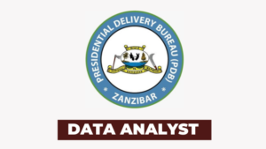 Ajira: Data Analyst jobs at The Zanzibar Presidential Delivery Bureau (PDB)