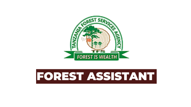Ajira: Forest Assistant II (10 Posts) at Tanzania Forest Services (TFS) Agency- Mkataba mwaka mmoja Latest