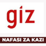 Ajira: Geospatial Data Management Specialist Jobs at GIZ Latest