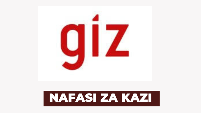Ajira: Geospatial Data Management Specialist Jobs at GIZ Latest
