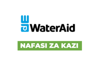 Digital Editor - Policy Practice and Advocacy Jobs at WaterAid Latest