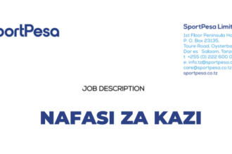  Personal Assistant to CEO Jobs at SportPesa Limited Latest