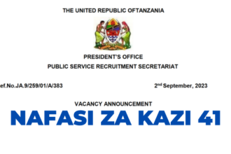 41 Various Jobs Opportunities at UTUMISHI Psrs -Nafasi za kazi UTUMISHI