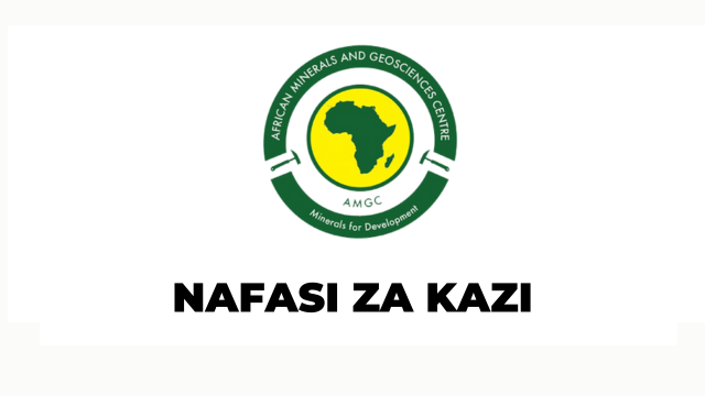 Jobs Opportunities at African Minerals and Geosciences Centre (AMGC) IT OFFICER  
