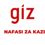 Jobs Opportunities at GIZ Junior Advisor Latest