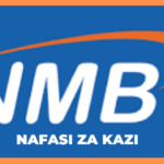 Retail Credit Jobs at NMB Bank Nafasi za kazi Leo Mpya