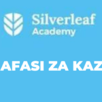 Sales Associate Jobs at Silverleaf Academy Latest