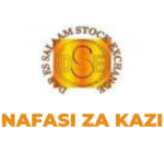 Accountant Jobs at DSE Nafasi za kazi Latest