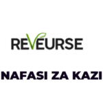 Accountant Jobs at Reveurse Tanzania Company Limited Latest