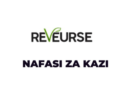 Accountant Jobs at Reveurse Tanzania Company Limited Latest