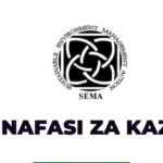 Accountant Jobs at SEMA Nafasi za kazi Latest