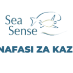 Ajira: Executive Director Jobs at Sea Sense Latest