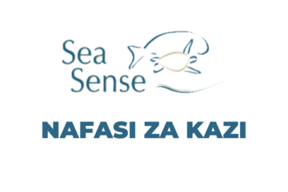 Ajira: Executive Director Jobs at Sea Sense Latest