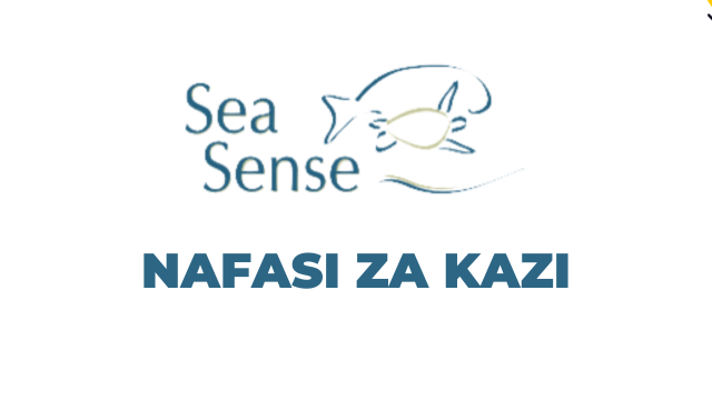 Ajira: Executive Director Jobs at Sea Sense Latest