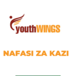 Biomedical Technical Officer Jobs at Youth Wings (YW) – Tanzania Latest