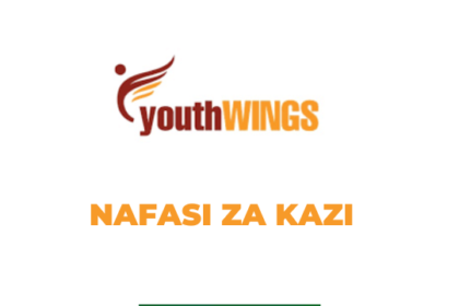 Biomedical Technical Officer Jobs at Youth Wings (YW) – Tanzania Latest