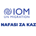 Chief Health Officer Jobs (Health Assessment Programmes) at IOM