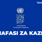 Research and Insights Consultant Jobs at UNDP Nafasi za kazi Latest