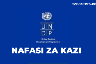 Research and Insights Consultant Jobs at UNDP Nafasi za kazi Latest