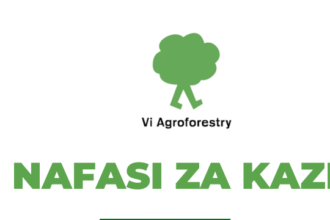 Resource Mobilization and Communication officer Jobs at Vi Agroforestry