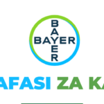 Warehouse Specialist Jobs at Bayer Nafasi za kazi Latest