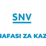 Team Leader Jobs at SNV November, 2023 Apply