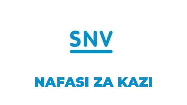 Team Leader Jobs at SNV November, 2023 Apply