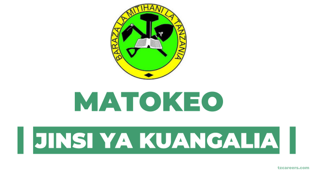 How to Check Matokeo ya Darasa la Nne 2024 Online