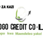 10 Credit Officers at Chogo Credit