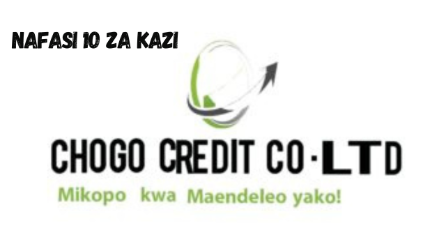 10 Credit Officers at Chogo Credit