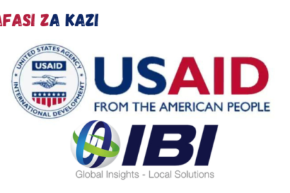 Annual Program Statement (APS) at USAID T-MELA