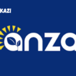 Anza Tanzania Vacancies January 2024